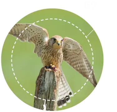 nikon-image